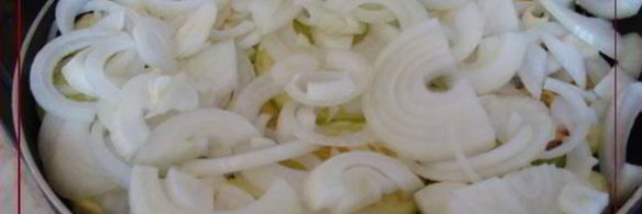 кабачки фамильная ценность