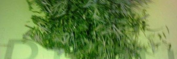 картофель запеченный в духовке