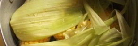 вареная кукуруза