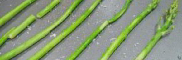 зеленая спаржа в духовке