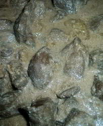 Говяжья печень в сметане