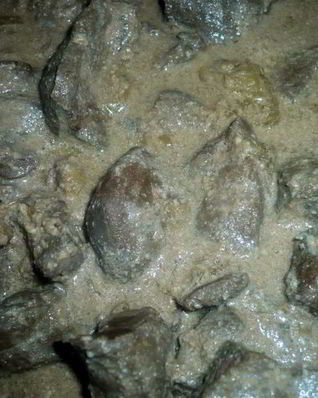 Говяжья печень в сметане