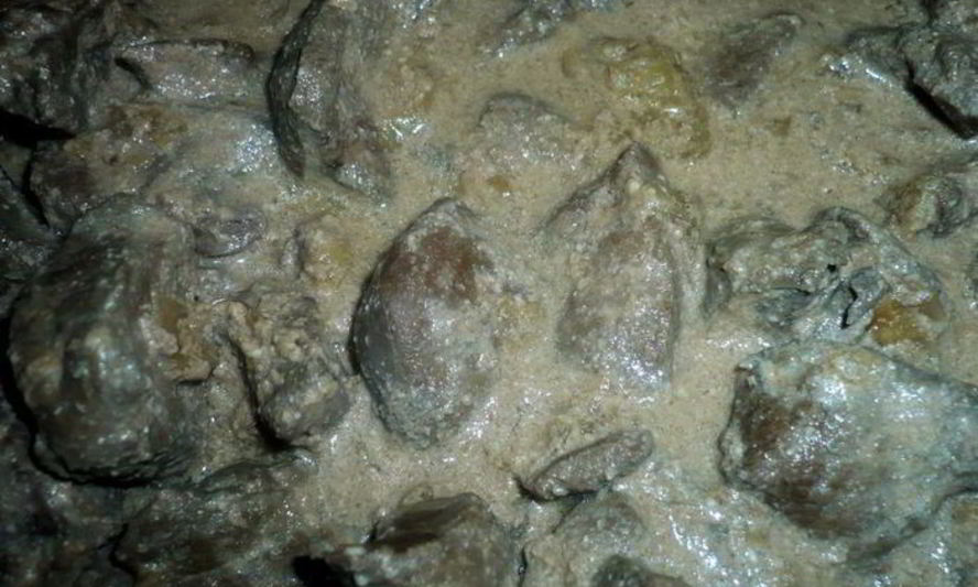 Рецепт говяжьей печени в сметане