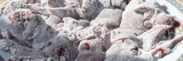 куриная печень тушеная по-итальянски с апельсином