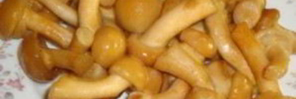 печень говяжья тушеная