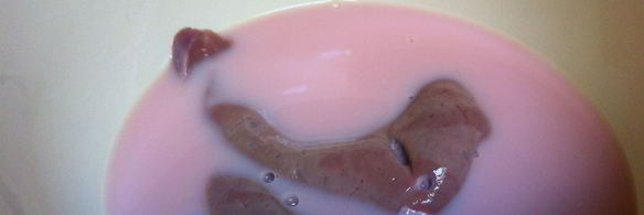 печень говяжья запеченная в молоке