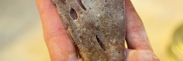 печень по-венециански