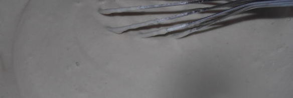 печень в пивном кляре