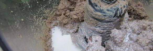 печеночные шарики с жареным луком в фисташках