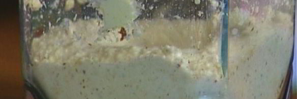 печеньица поцелуй дамы