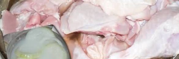 бесспешкопельмень