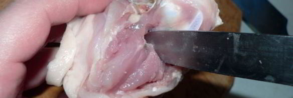 бесспешкопельмень