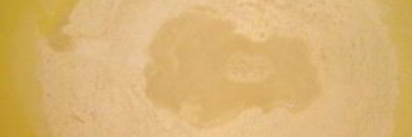 диетическое тесто для пельменей