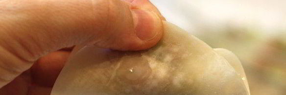 японские жареные пельмени