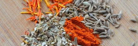 паэлья с кальмарами