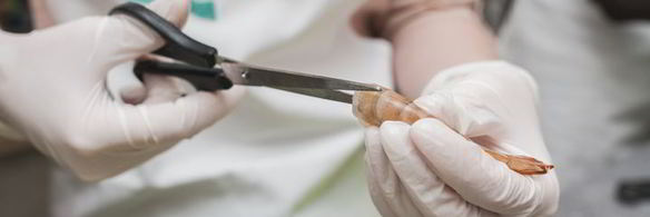 паэлья с морепродуктами и цыпленком