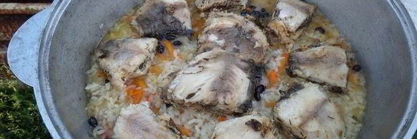 плов дачный с карпом