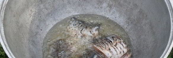 плов дачный с карпом