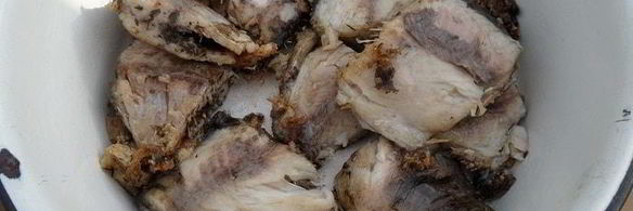 плов дачный с карпом