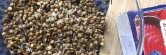 плов из чечевицы с курицей в мультиварке