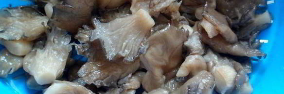 плов из перловки с вешенками