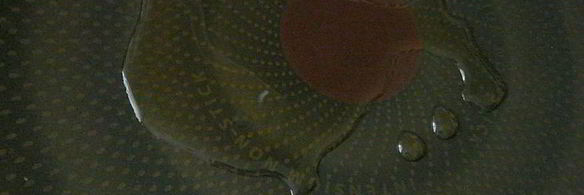 ароматное рагу из свинины и грибов