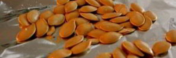 рагу из тыквы и кабачков