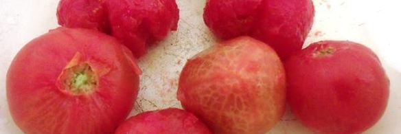 рыбное рагу