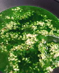 Огуречное ризотто