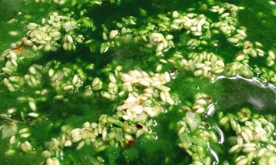 Рецепт огуречного ризотто