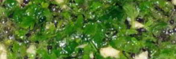 ризотто с красной рыбой