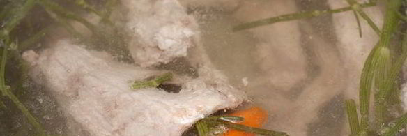 ризотто с кроликом