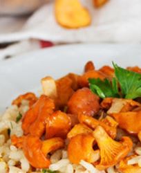 Ризотто с лисичками