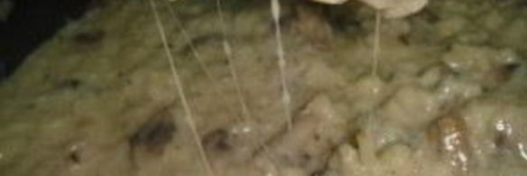 ризотто с сыром и грибами