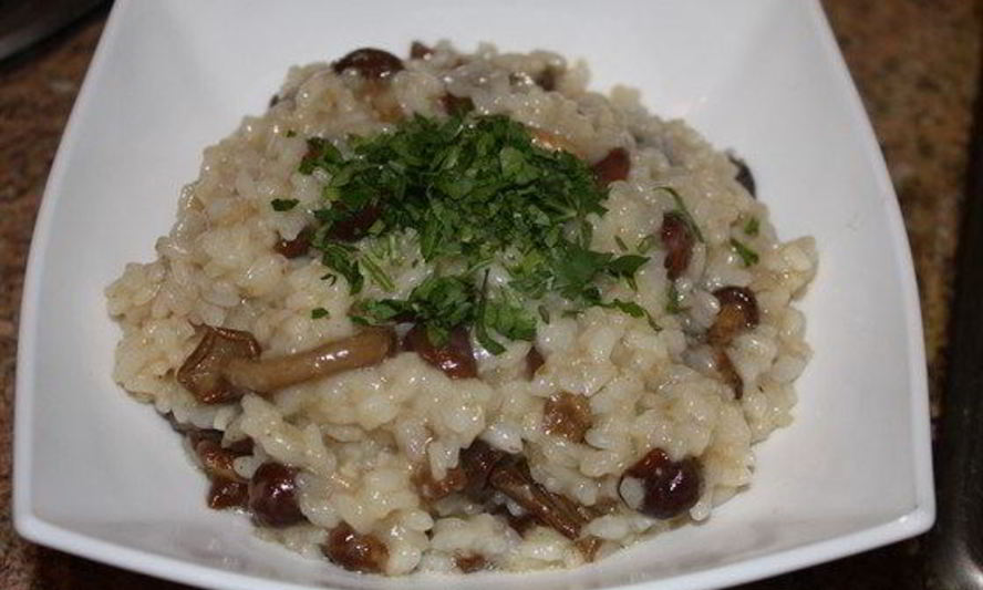 Рецепт традиционного ризотто с опятами