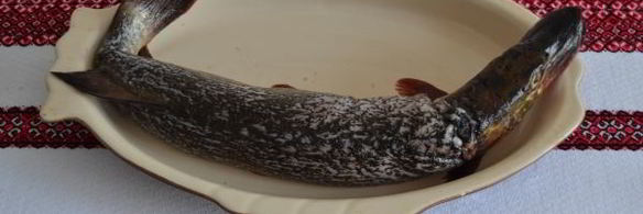 фаршированная щука с салом в духовке