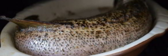 фаршированная щука с салом в духовке