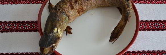 фаршированная щука с салом в духовке