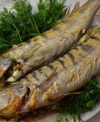 Фаршированный судак