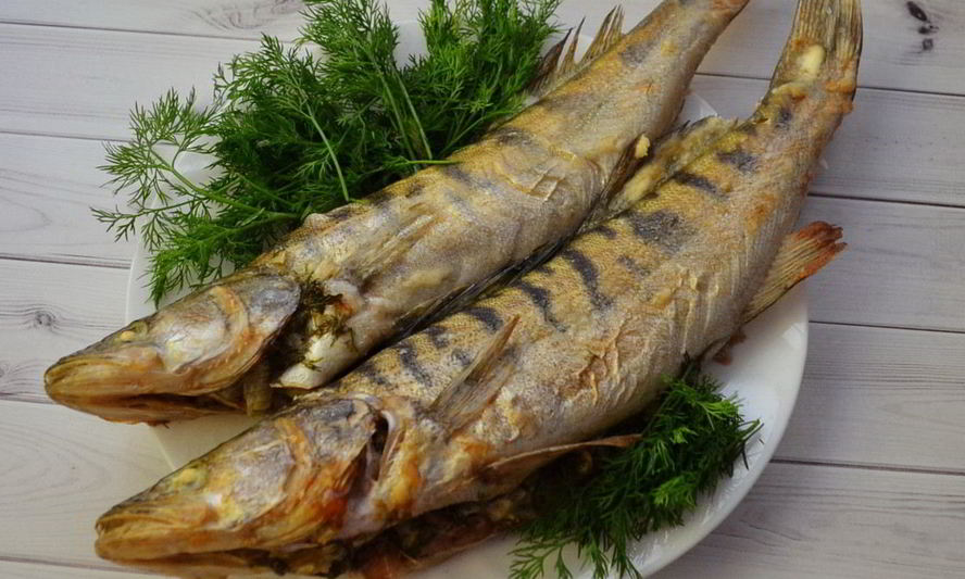 Рецепт фаршированного судака