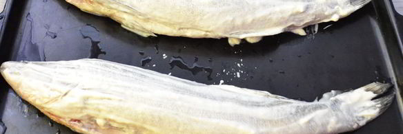 фаршированный судак