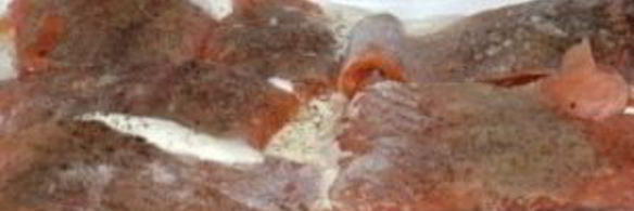 горбуша в сметане