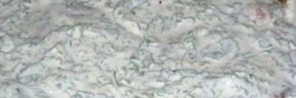 горбуша в сметане