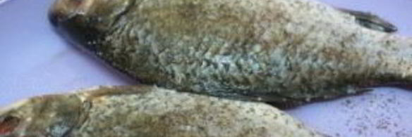 карась на углях