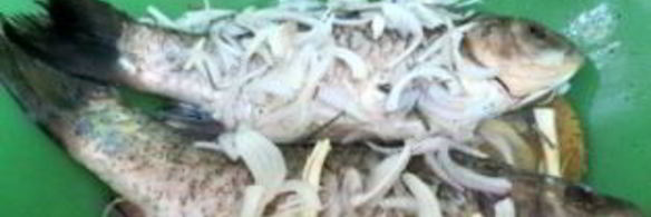 карась на углях