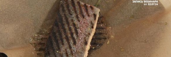 карельская форель с соком помело и кабачками