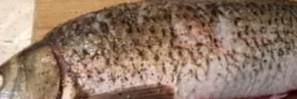 карп фаршированный