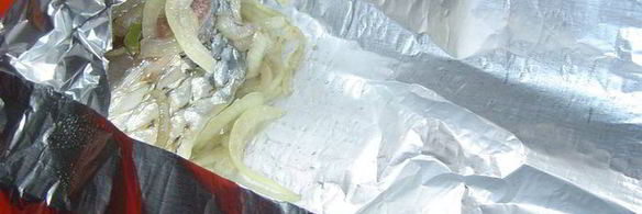 пеленгас на углях