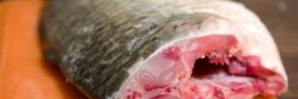 рыба начиненная кашей