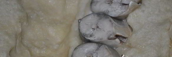 рыба, запеченная в дрожжевом тесте